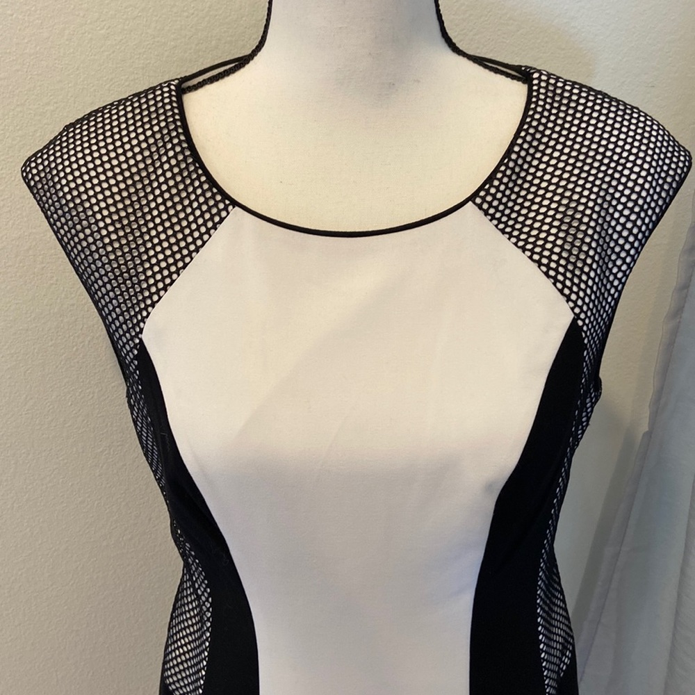 Black/white/mesh color block Calvin Klein dress